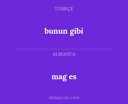 bunun gibi - mag es
