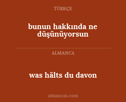 bunun hakkında ne düşünüyorsun - was hälts du davon