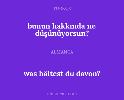 bunun hakkında ne düşünüyorsun? - was hältest du davon?