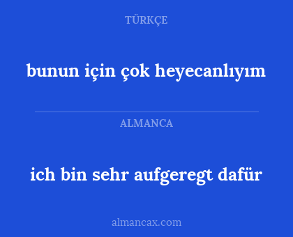 ich bin sehr aufgeregt dafür - bunun için çok heyecanlıyım