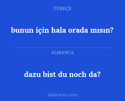 dazu bist du noch da? - bunun için hala orada mısın?