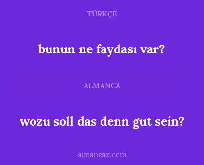 wozu soll das denn gut sein? - bunun ne faydası var?