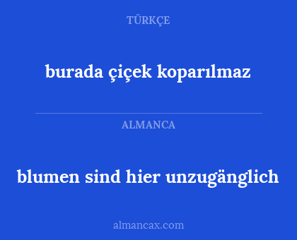 burada çiçek koparılmaz - blumen sind hier unzugänglich