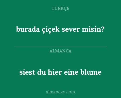 burada çiçek sever misin? - siest du hier eine blume