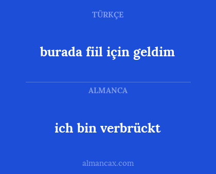 burada fiil için geldim - ich bin verbrückt