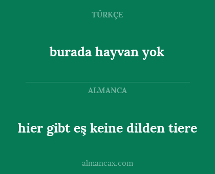 burada hayvan yok - hier gibt eş keine dilden tiere