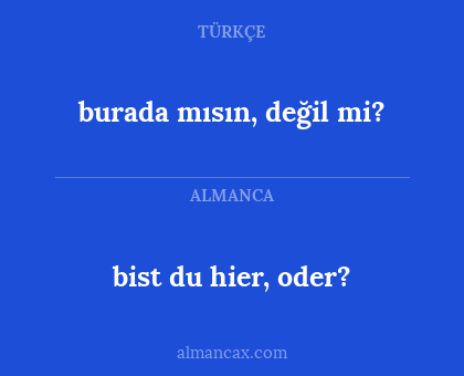 bist du hier, oder? - burada mısın, değil mi?
