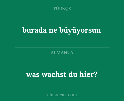 was wachst du hier? - burada ne büyüyorsun