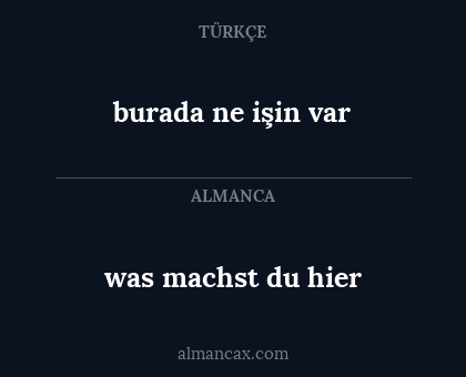 was machst du hier - burada ne işin var