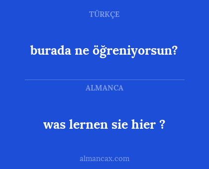 burada ne öğreniyorsun? - was lernen sie hier ?