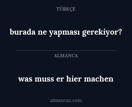 was muss er hier machen - burada ne yapması gerekiyor?