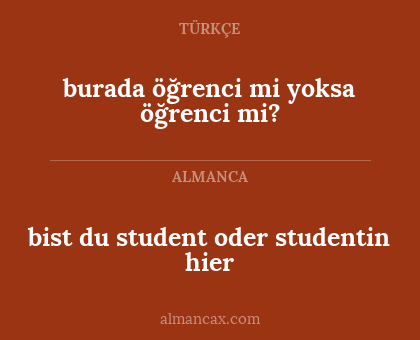 bist du student oder studentin hier - burada öğrenci mi yoksa öğrenci mi?
