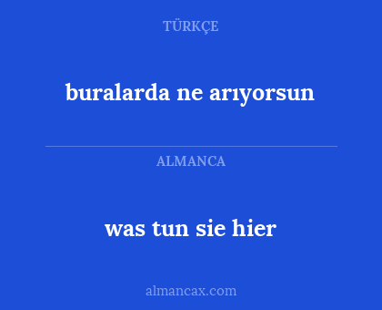 was tun sie hier - buralarda ne arıyorsun