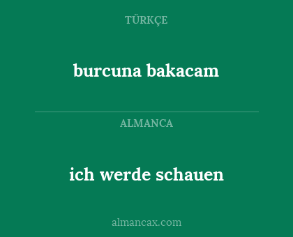 burcuna bakacam - ich werde schauen