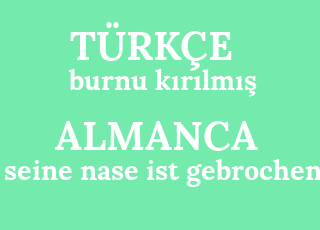 burnu+k%C4%B1r%C4%B1lm%C4%B1%C5%9F-seine+nase+ist+gebrochen.png