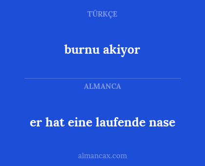 er hat eine laufende nase - burnu akiyor