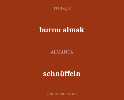 burnu almak - schnüffeln