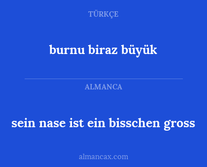 burnu biraz büyük - sein nase ist ein bisschen gross