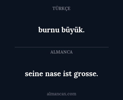 seine nase ist grosse. - burnu büyük.