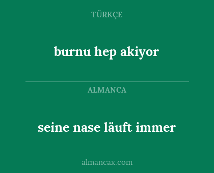 seine nase läuft immer - burnu hep akiyor