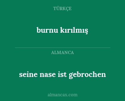 burnu kırılmış - seine nase ist gebrochen