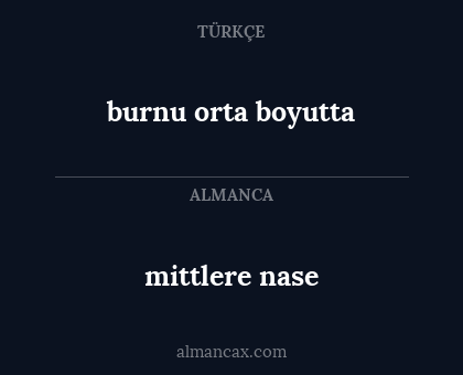 mittlere nase - burnu orta boyutta