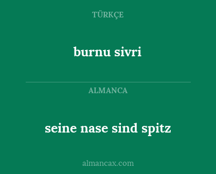 burnu sivri - seine nase sind spitz