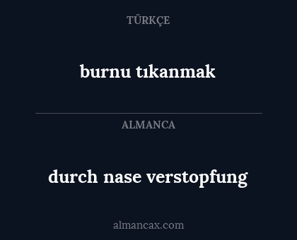 burnu tıkanmak - durch nase verstopfung