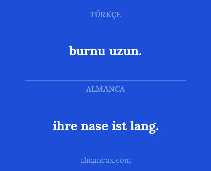burnu uzun. - ihre nase ist lang.