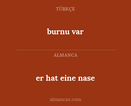 burnu var - er hat eine nase