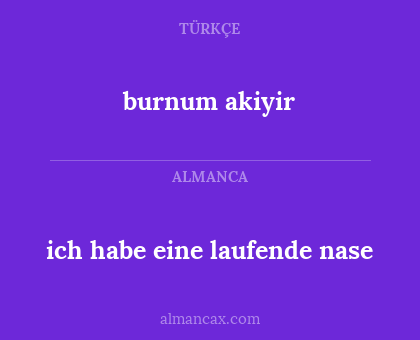 burnum akiyir - ich habe eine laufende nase