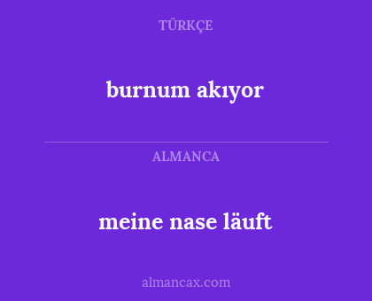 meine nase läuft - burnum akıyor