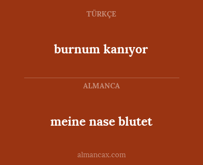 meine nase blutet - burnum kanıyor