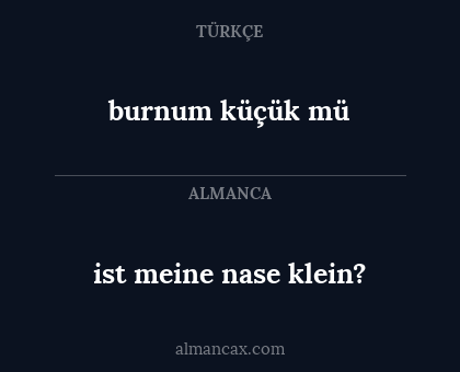 ist meine nase klein? - burnum küçük mü