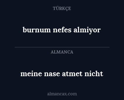 meine nase atmet nicht - burnum nefes almiyor