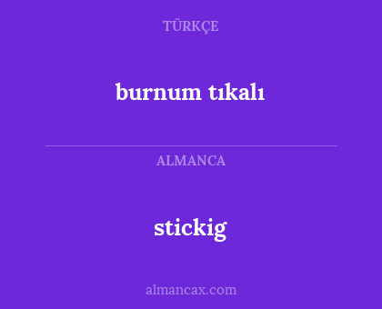 stickig - burnum tıkalı