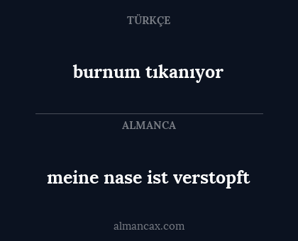 burnum tıkanıyor - meine nase ist verstopft