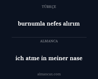 burnumla nefes alırım - ich atme in meiner nase