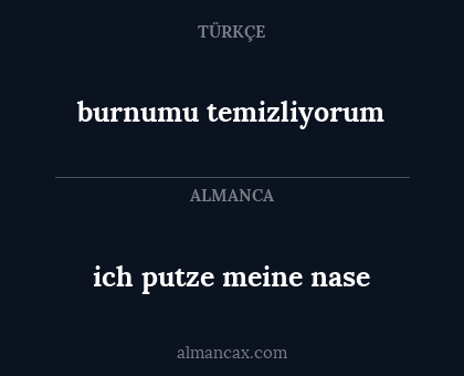 ich putze meine nase - burnumu temizliyorum