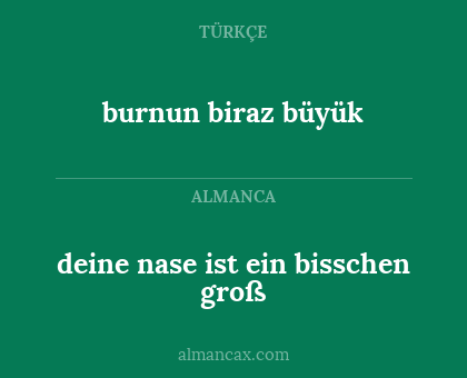 burnun biraz büyük - deine nase ist ein bisschen groß