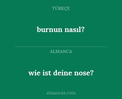 burnun nasıl? - wie ist deine nose?