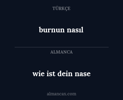 wie ist dein nase - burnun nasıl