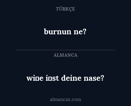 wi̇e i̇st deine nase? - burnun ne?