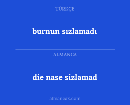 burnun sızlamadı - die nase sizlamad