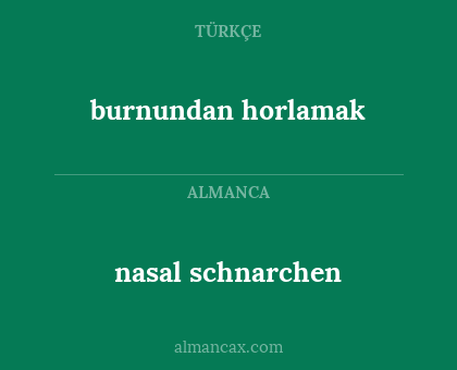 nasal schnarchen - burnundan horlamak
