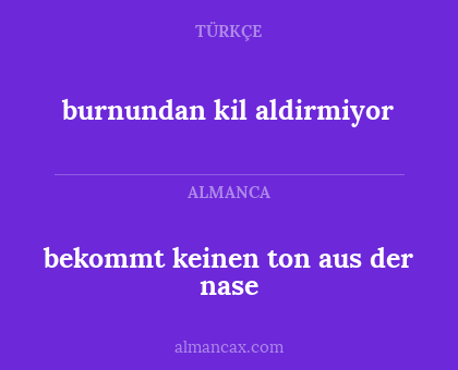 bekommt keinen ton aus der nase - burnundan kil aldirmiyor