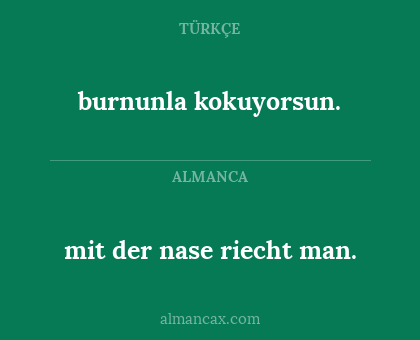 mit der nase riecht man. - burnunla kokuyorsun.