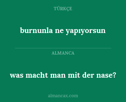 burnunla ne yapıyorsun - was macht man mit der nase?