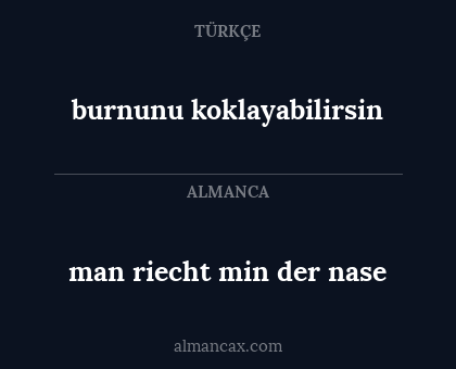 man riecht min der nase - burnunu koklayabilirsin