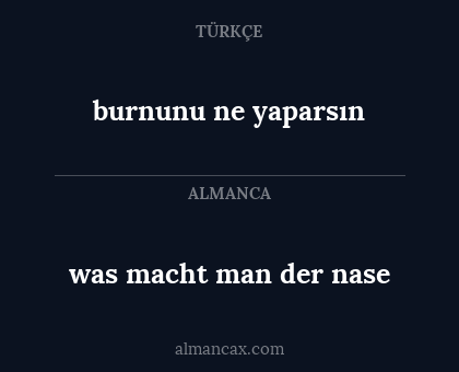 burnunu ne yaparsın - was macht man der nase